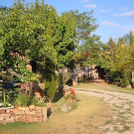 Gabolina E Turata