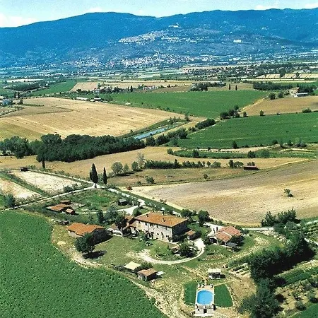 Gabolina E Turata * Cortona